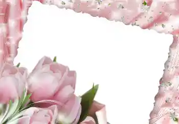 Kesan foto daripada kategori Bingkai foto wanita № 2171