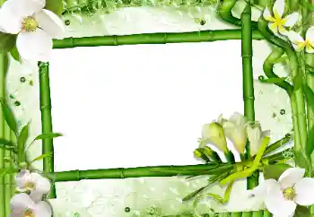Kesan foto daripada kategori Bingkai foto wanita № 24470
