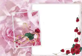 Kesan foto daripada kategori Bingkai foto wanita № 2697