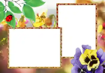 Kesan foto daripada kategori Bingkai foto wanita № 273