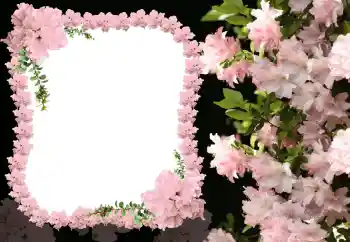 Kesan foto daripada kategori Bingkai foto wanita № 31824 Kesan foto daripada kategori Bingkai foto wanita № 31824