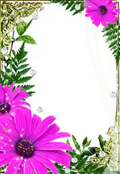Kesan foto daripada kategori Bingkai foto wanita № 32733