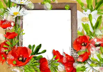 Kesan foto daripada kategori Bingkai foto wanita № 3491 Kesan foto daripada kategori Bingkai foto wanita № 3491