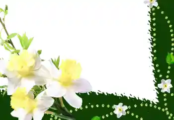 Kesan foto daripada kategori Bingkai foto wanita № 35016