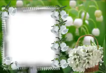 Kesan foto daripada kategori Bingkai foto wanita № 53368 Kesan foto daripada kategori Bingkai foto wanita № 53368