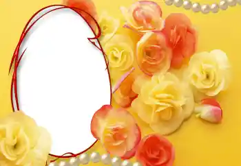 Kesan foto daripada kategori Bingkai foto wanita № 55528 Kesan foto daripada kategori Bingkai foto wanita № 55528