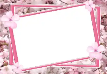 Kesan foto daripada kategori Bingkai foto wanita № 64115 Kesan foto daripada kategori Bingkai foto wanita № 64115