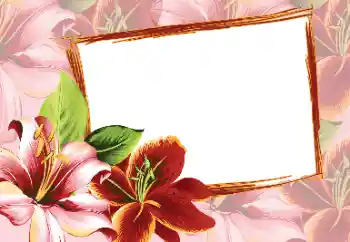 Kesan foto daripada kategori Bingkai foto wanita № 80320 Kesan foto daripada kategori Bingkai foto wanita № 80320