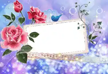 Kesan foto daripada kategori Bingkai foto wanita № 9524 Kesan foto daripada kategori Bingkai foto wanita № 9524