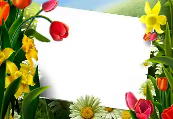 Kesan foto daripada kategori Bingkai foto wanita № 9867